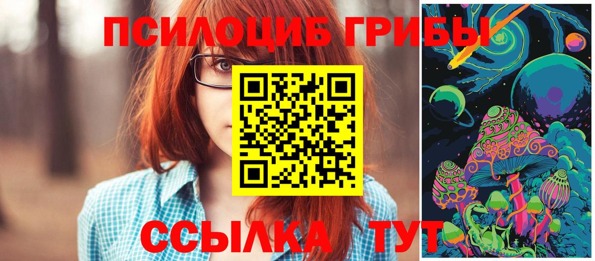Галлюциногенные грибы прущие грибы Кизляр